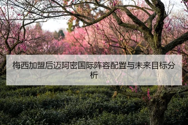 梅西加盟后迈阿密国际阵容配置与未来目标分析